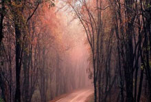 九游娱乐-欧洲网球队逆转世界网球队，梅德韦杰夫惊艳世界