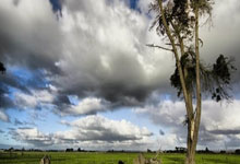 九游官网-利物浦NBA首秀：碾压德国，关键一战改写体育史