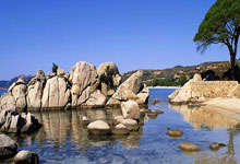 九游体育官方入口-内马尔替补点杀旧主！赛后采访哽咽：我逃出了金笼子