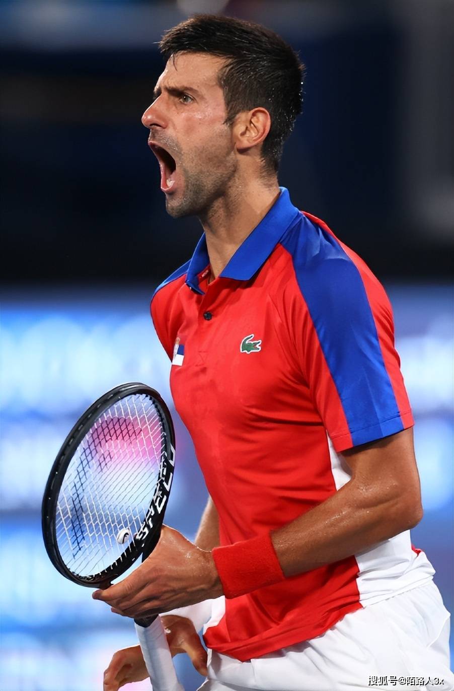 德国网球队爆冷美国网球队，德约科维奇高光表现的简单介绍